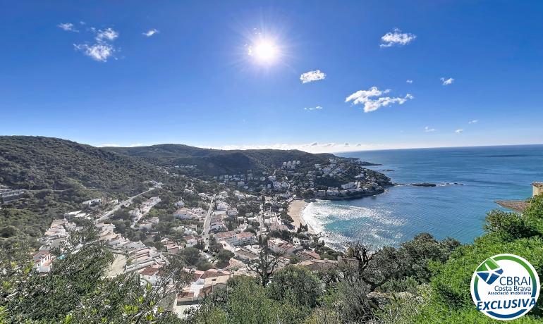 for saleTerrain Roses