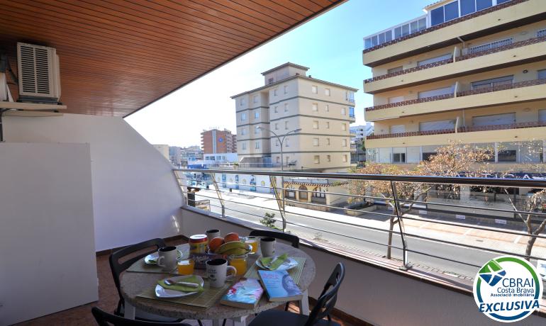 for saleStudio Roses