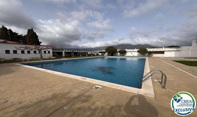 for saleStudio Roses